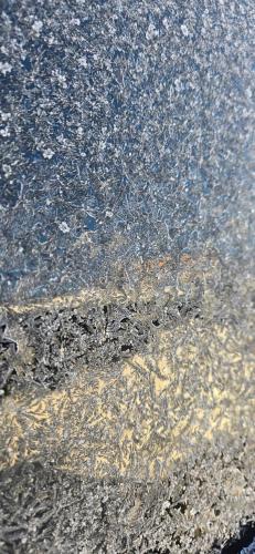 FB_IMG_1769443133749