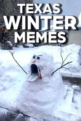 DFWCS_Texas-Winter-Memes_Pin-683x1024