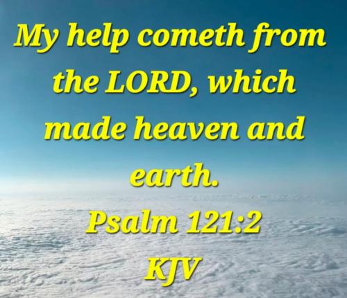 1e33a6a5-61c7-4516-8f0b-161422a67b41