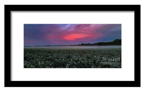 Screenshot_20260131_175026_Brave