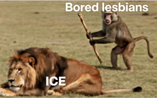 bored-lesbians-ice