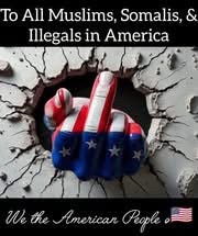 e1e94434-50b8-4fdf-b98a-129611012774