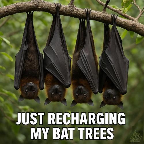 main-qimg-2d9412799f7afeba899d503ced7bee8b