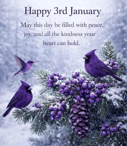 FB_IMG_1767453722358