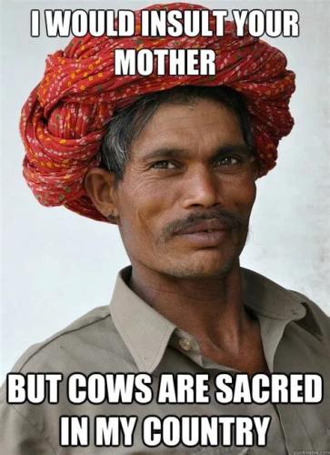 cows-are-sacred