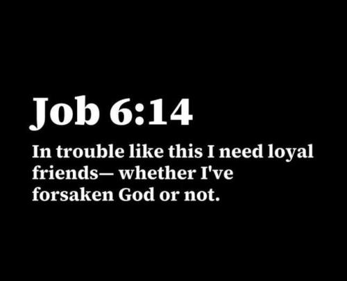 IMG_20260125_165440_901