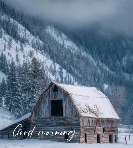 9fbcd8d0d4009d4b6db95550ecc3ea24