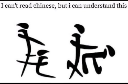 FB_IMG_1768792245525