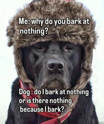 f4bf1a1952c265740f6ac751ca6465f0