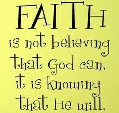 IMG_20260129_173313_035