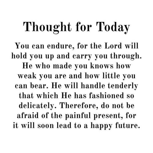 623381273_911413588059655_7621596986209531103_n