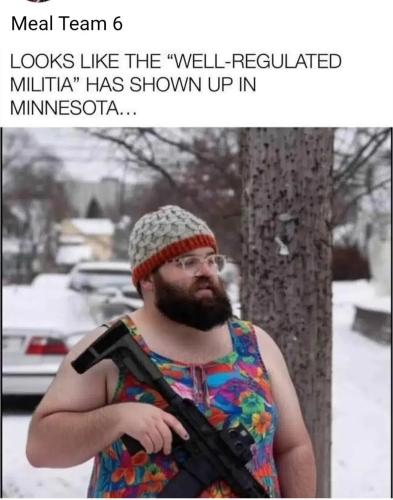 well-regulated-miltia