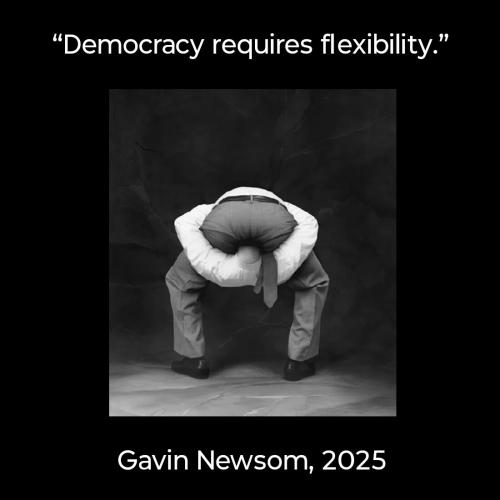 democracy-requires-flexibility