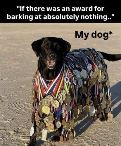 3544bd8e-9922-451c-92ba-b118639245f0