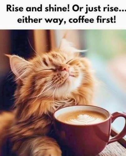 have-a-great-wednesday-enjoy-your-morning-coffee-v0-thuq1ac1ao7f1