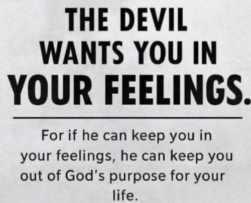 IMG_20260111_151108_731