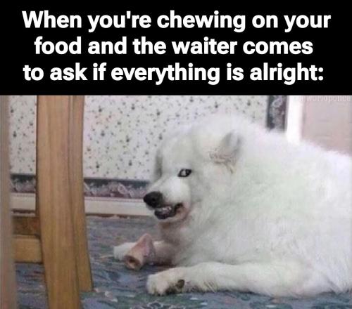 chewing-food-waiter-asks-alright
