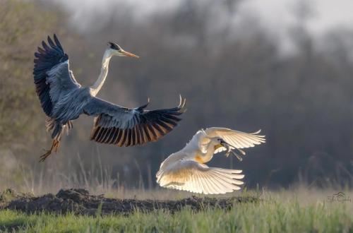 RDT_20260102_044851536186037436305044