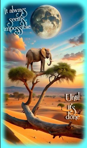 619495990_1475292617934623_4626666125729053911_n