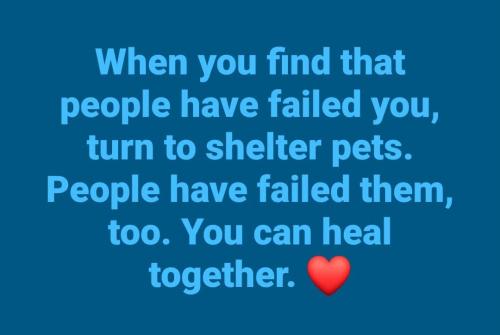 FB_IMG_1744843395314