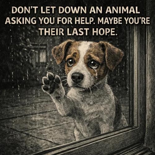 FB_IMG_1768695918774