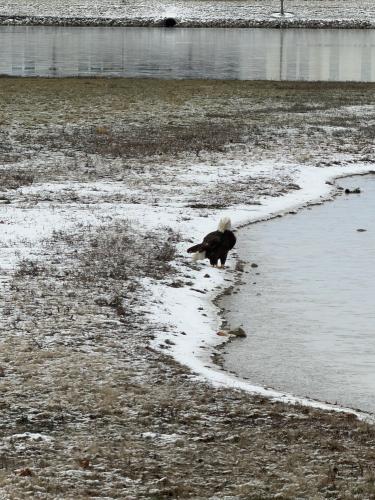 e33785e1-82f9-46ae-ac85-d2705fafe363