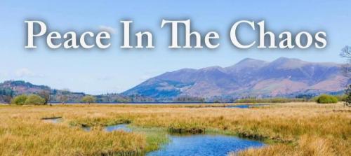 a857e983-0850-4488-9a1b-371bfa5a3f9b