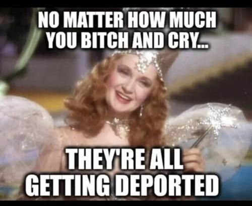 Deported 1