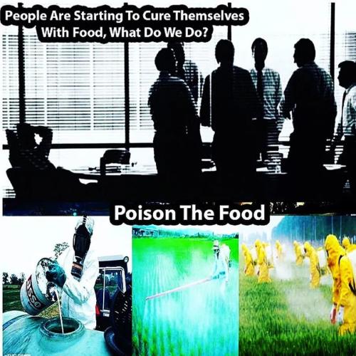 7a6fead670ba91d5f8f888f640da6a7b