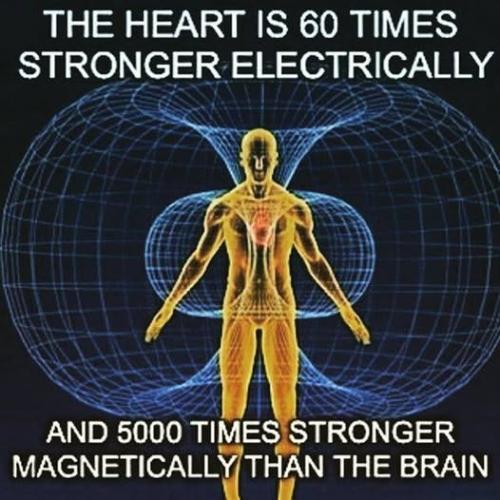 ,      ,             BdX7M1JO