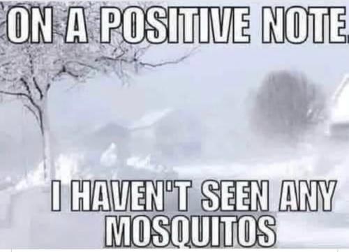 4717bb7d-46c4-418f-ba1e-520e61453d8e