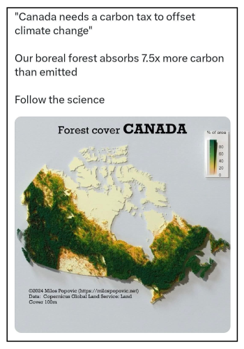 boreal forest