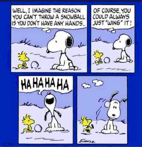 FB_IMG_1769274299129