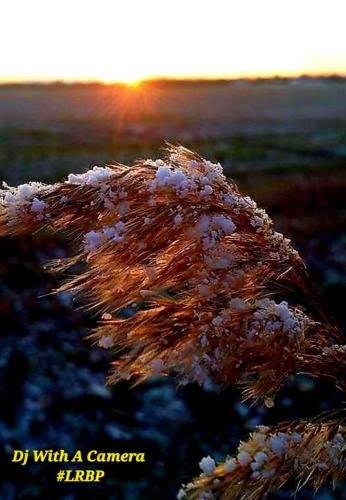 Screenshot_20260129_184924_Gallery