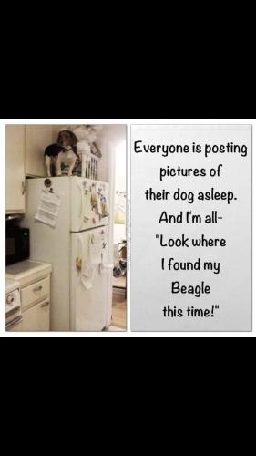 b0576333b8580a3dd47a17e0a2324fe8