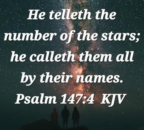 cb470036-467a-482d-934b-8cd4fa0fec5e