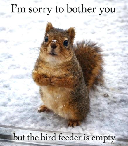 IMG_20260131_134301_907