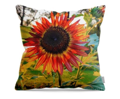 Screenshot_20260107_111643_Brave