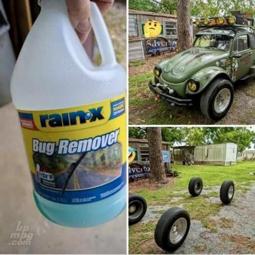 main-qimg-6e59268151ba07280cb8721af72e0638