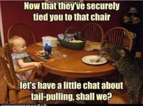 Screenshot_20260124_081750_Gallery