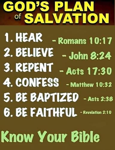 IMG_20260125_165604_796