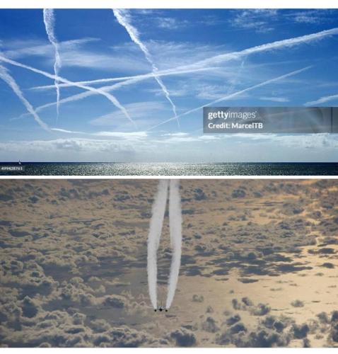 3d34f2e1-435d-4d48-8caf-c0fb40072aa0