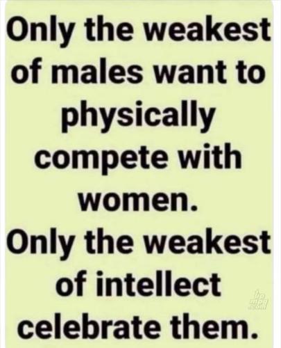 main-qimg-dba44bc3609670ad1574d10488c6ad70