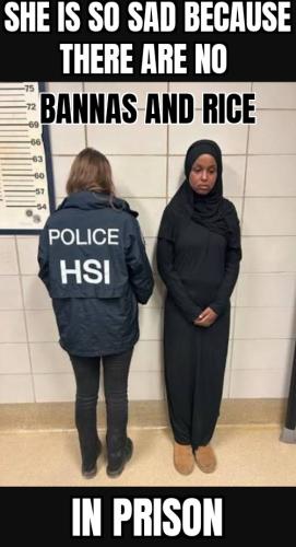 ZomboMeme 28012026231832