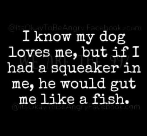 FB_IMG_1768237397841