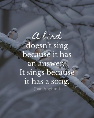 608772887_1220090893574050_6432902381827733381_n