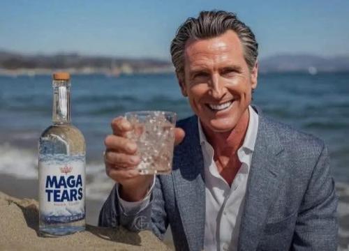 6e255adb-8ea3-4ce0-800d-453d9cd15397