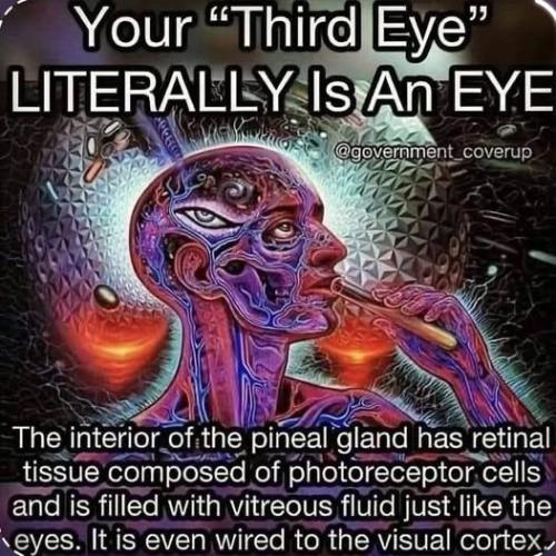 ,          ,  0424775766_746362