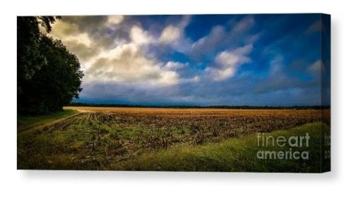 Screenshot_20260131_140822_Brave