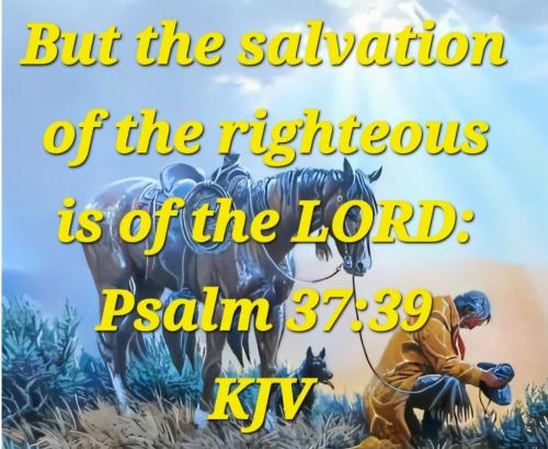 e15e8d9c-f531-4258-9a9e-213ccdaa8e3b